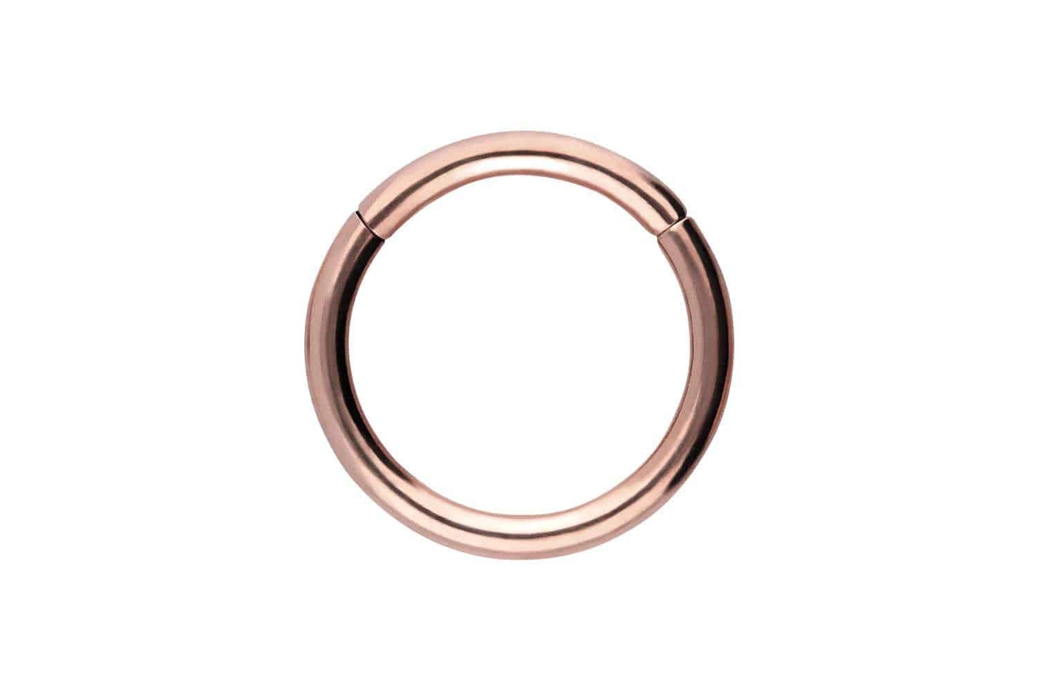 Chirurgenstahl Segmentring Clicker Piercing